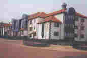 hinew